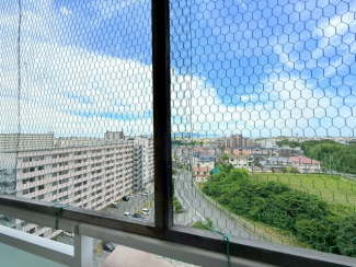 【展望】