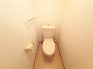 落ち着いた色調のトイレです