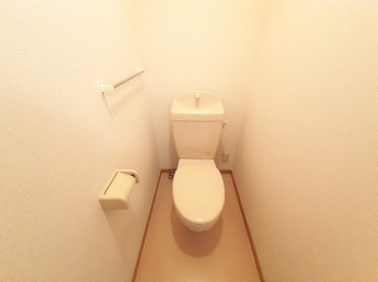 落ち着いた色調のトイレです