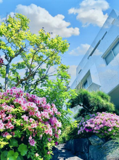 西宮市甲陽園目神山町の中古一戸建ての画像