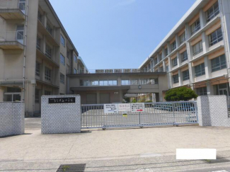松山市立たちばな小学校まで250m