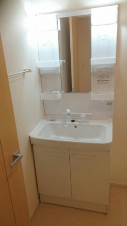 忙しい朝には欠かせない洗面所です