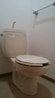 落ち着いた色調のトイレです