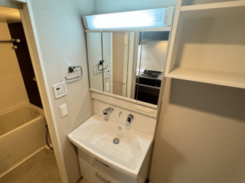 忙しい朝には欠かせない洗面所です