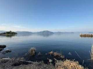高島市今津町浜分の売地の画像