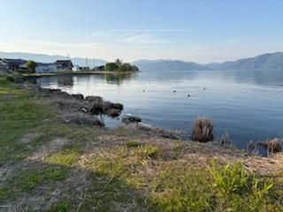高島市今津町浜分の売地の画像