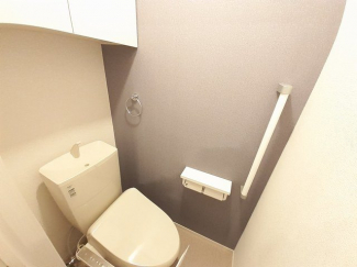 落ち着いた色調のトイレです