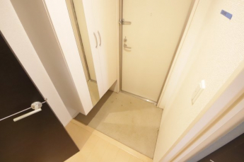 落ち着いた玄関です