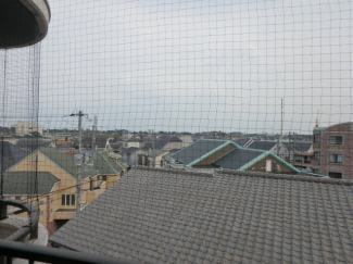窓からの眺望です