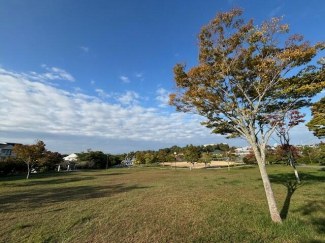 柳谷公園
