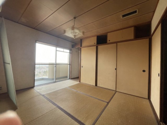 【その他】