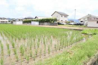 松山市久米窪田町の売地の画像