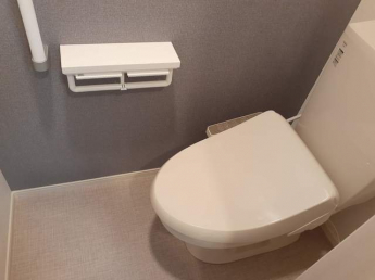 落ち着いた色調のトイレです
