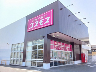 コスモスまで100m