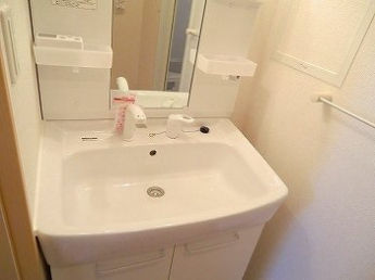 忙しい朝には欠かせない洗面所です