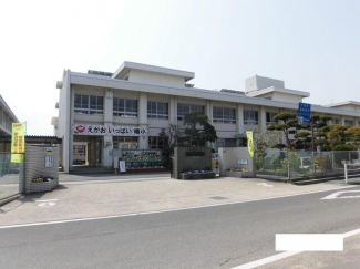 松山市立椿小学校まで606m