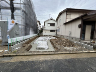 2025年6月24日撮影
