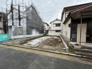 2025年6月24日撮影