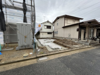 2025年6月24日撮影
