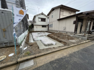 2025年6月24日撮影