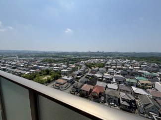 【展望】