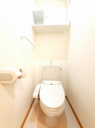 落ち着いた色調のトイレです