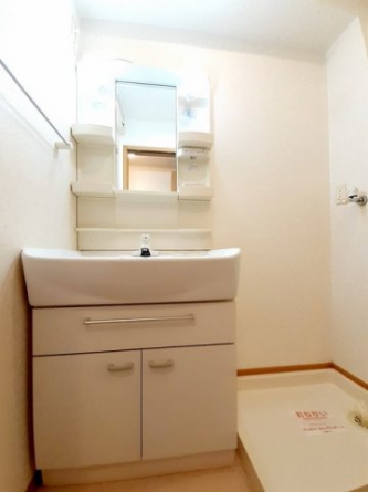 忙しい朝には欠かせない洗面所です