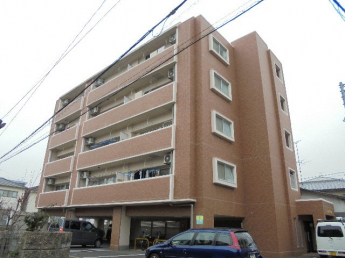 完成写真