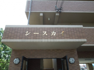 完成写真