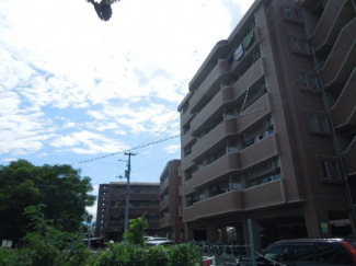 完成写真