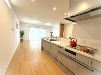 ＩＨクッキングヒーター・浄水器・食器洗い乾燥機付き。