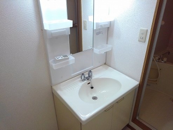 スペースが確保できる洗面所です