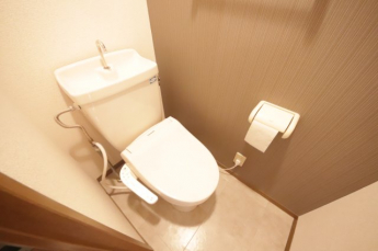 コンパクトで使いやすいトイレです