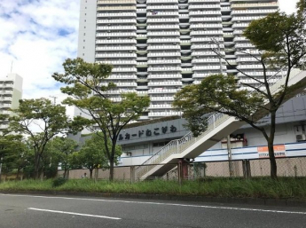 【その他】