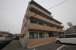 外観もきれいです