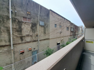 【展望】