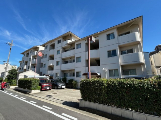 きれいな外観です