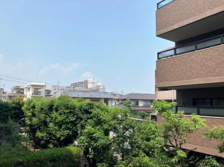 【展望】