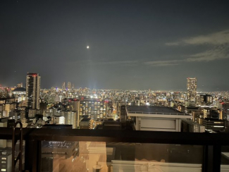 ※2025年7月29日　撮影
