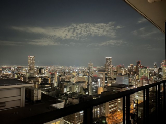 ※2025年7月29日　撮影