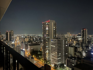 ※2025年7月29日　撮影