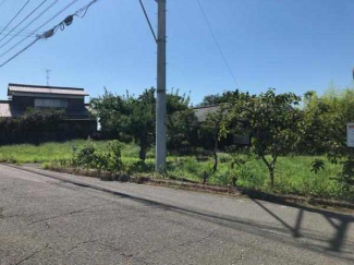 現地土地写真