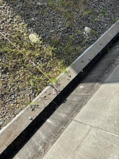 松山市北斎院町の売地の画像