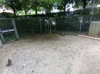 グランドメゾン須磨の画像