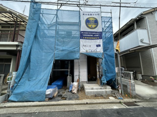 ２０２５年６月２６日撮影