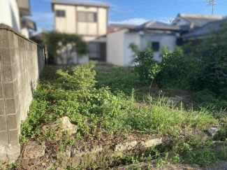 土地写真