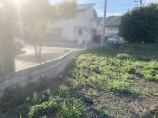 前面道路を含む土地の様子です。