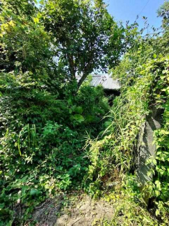 南宇和郡愛南町城辺甲の売地の画像