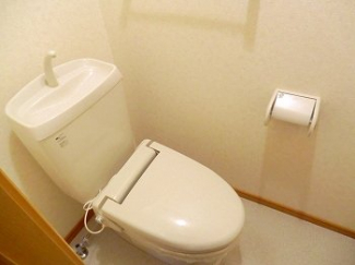 落ち着いた色調のトイレです