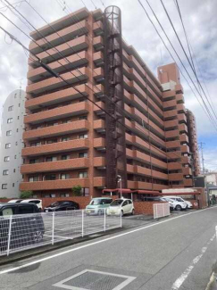 シャンボール第二千舟の画像